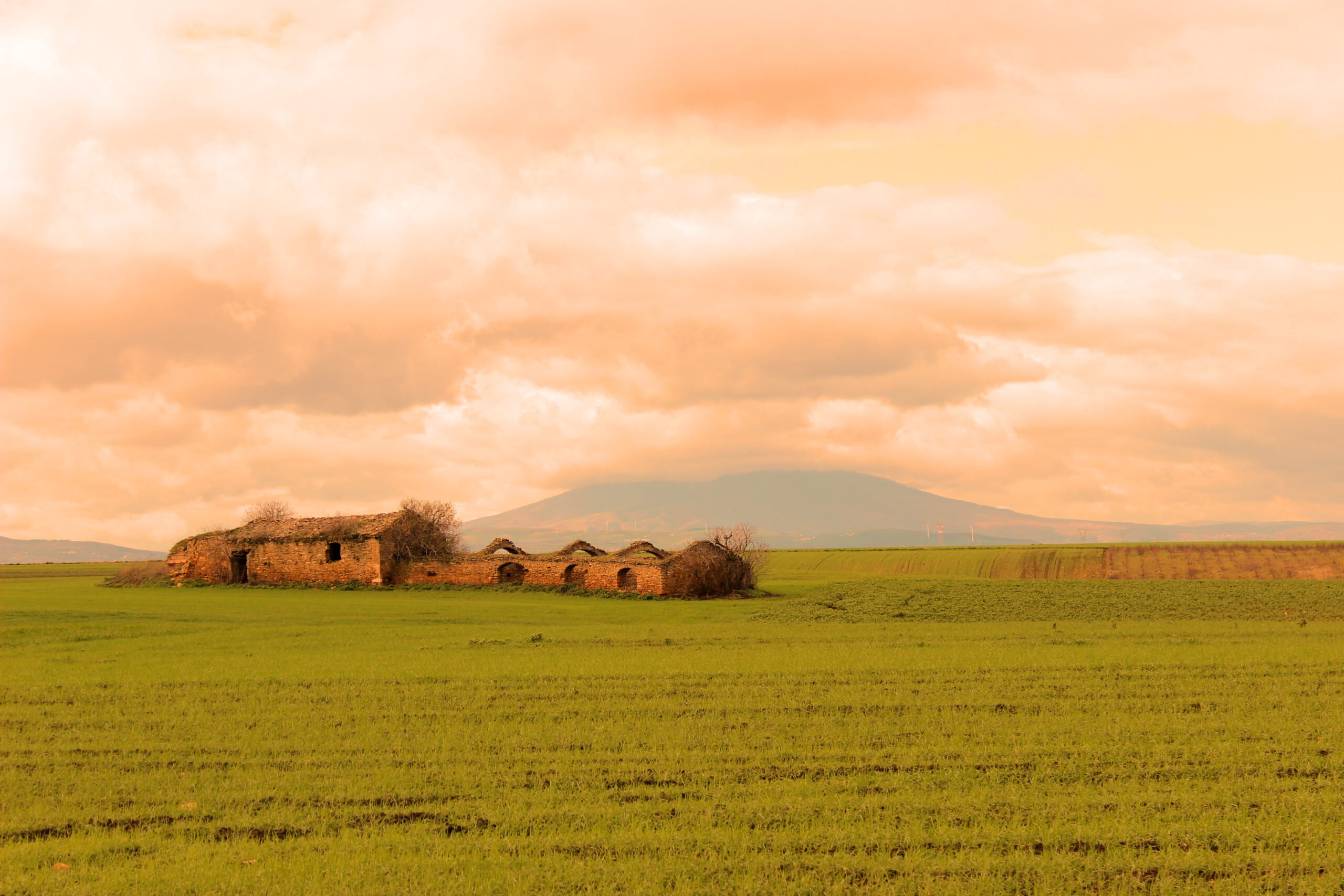 Rudere e Monte Vulture - ph Alice Petrone